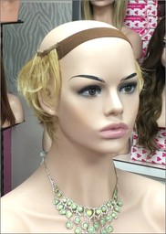 Perfil-Corona