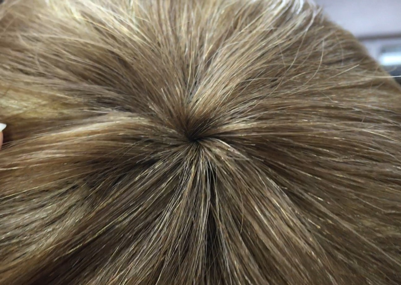 Peluca cabello natural modelo CLEO color 8H613 MAQUINA