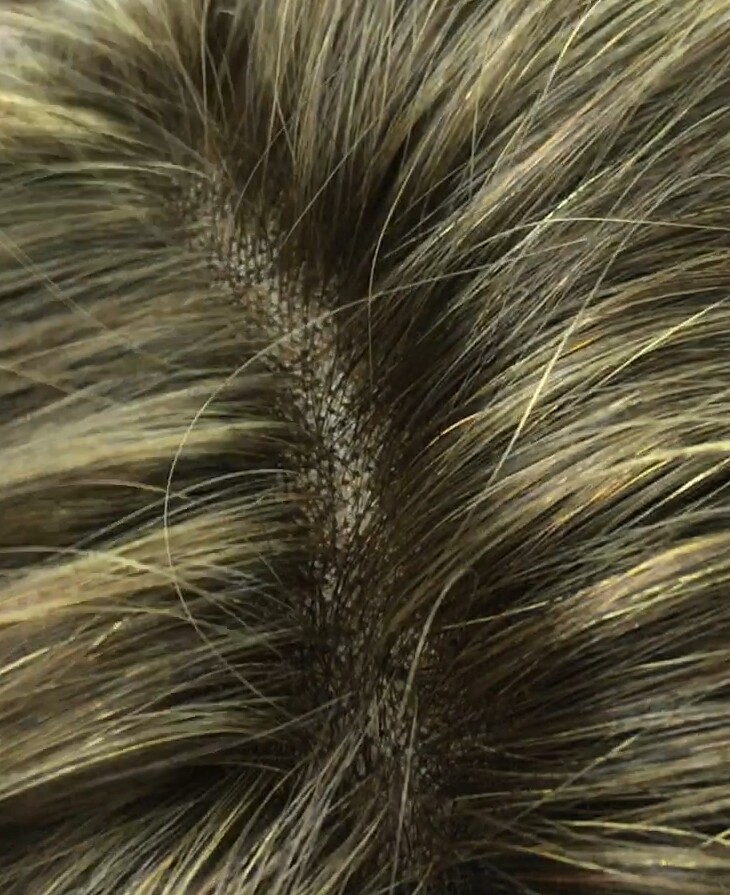 Peluca natural MARTINA color 5H8h613H5 RAYA de tul transparente efecto piel