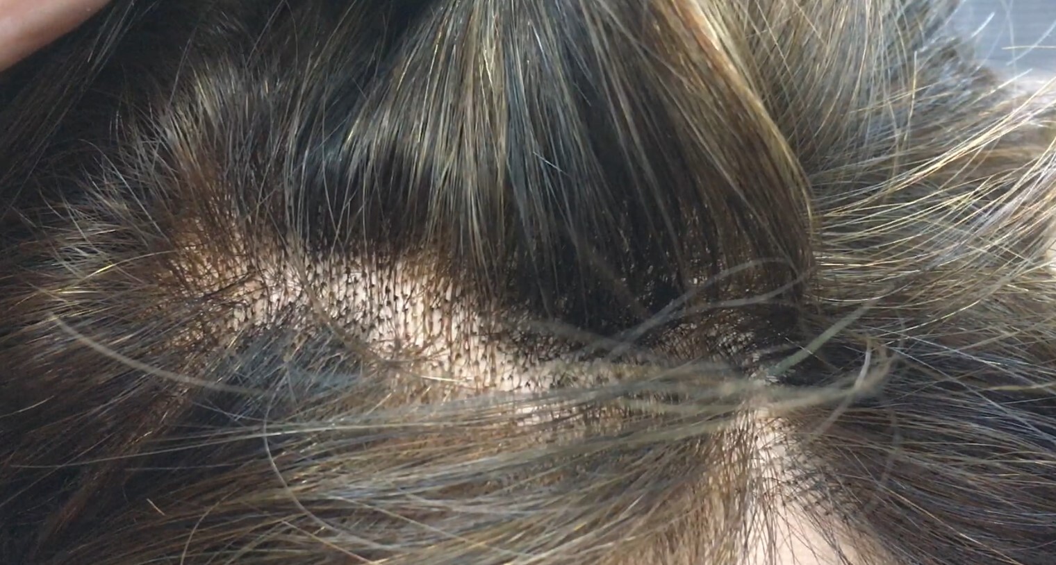 Peluca natural  WENDY color 2H5 Top de Tul transparente