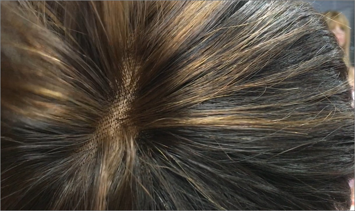 Peluca natural YANIS Color 2H5 Raya de Tul