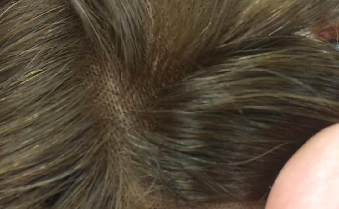 Voluminador natural LYDIA color 5R8H613 RAYA de tul