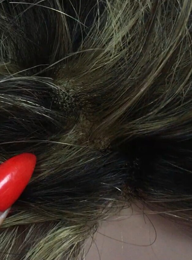 Peluca cabello natural DONA color 2h6 tul frontal