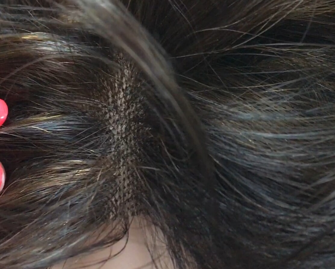 Peluca natural Dona FRONTAL DE TUL color 2H5