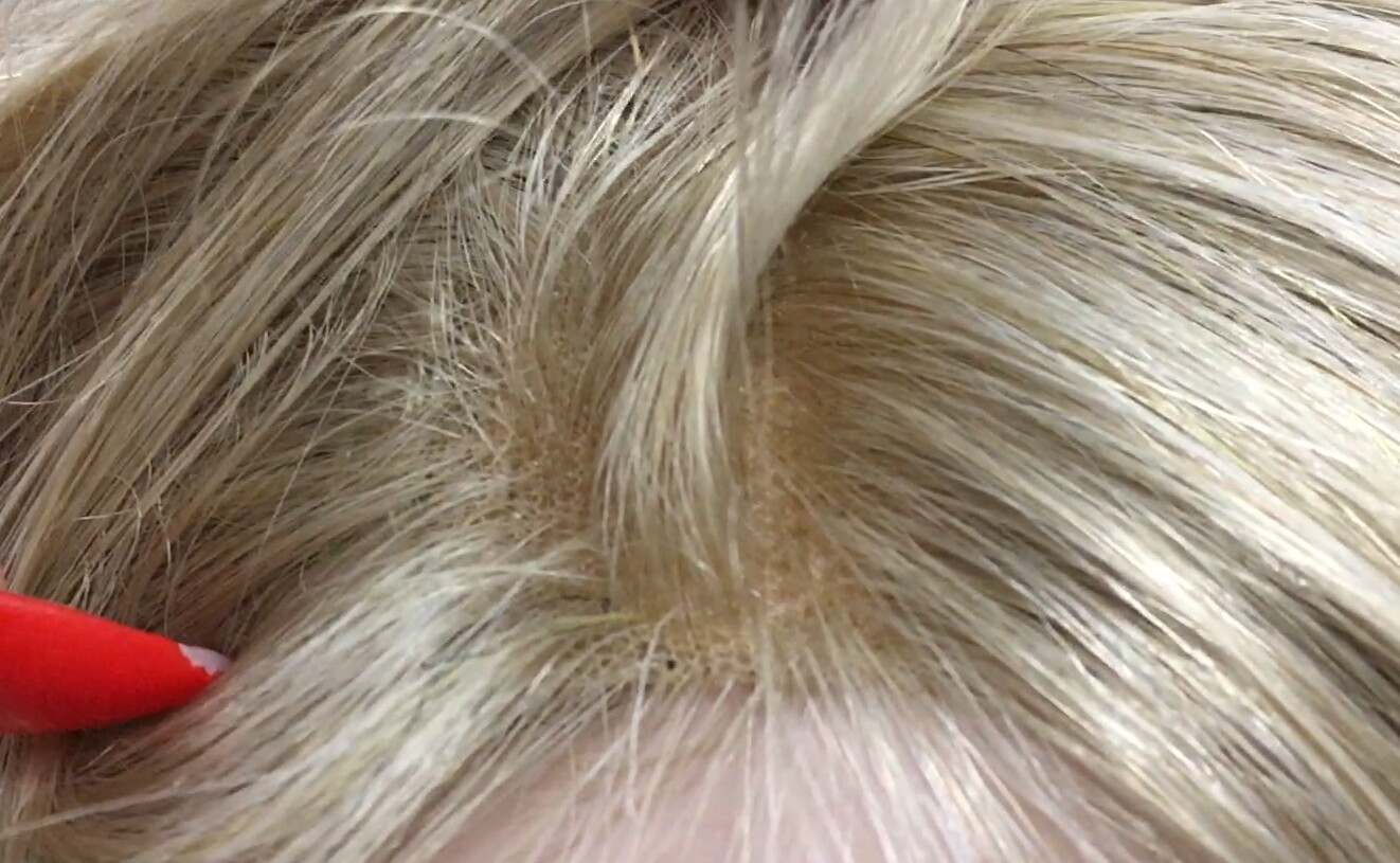 Peluca natural MELANIA RAYA TUL color 16