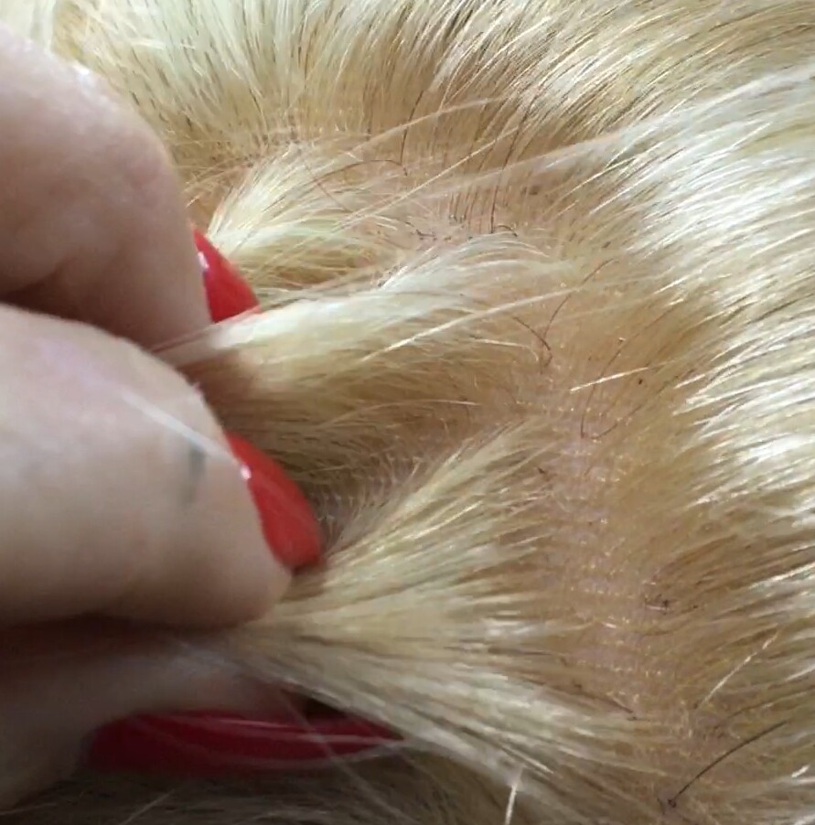 Peluca natural MINI-Minauti color 18h613 TOP TUL Transparente
