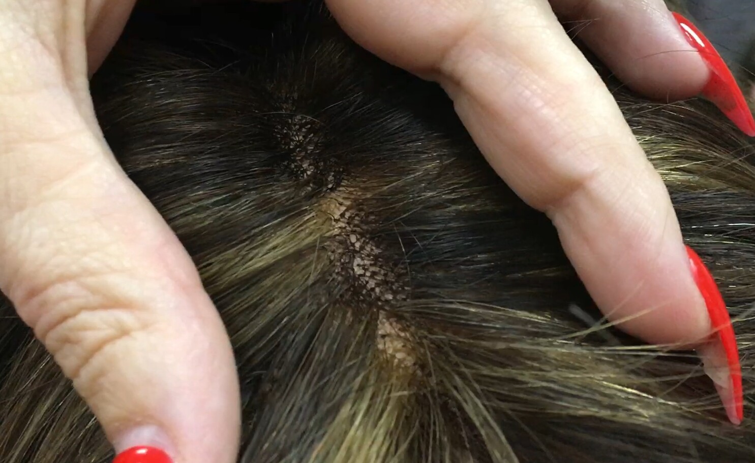 Peluca cabello natural WENDY color 2H6 raya de tul efecto piel transparente