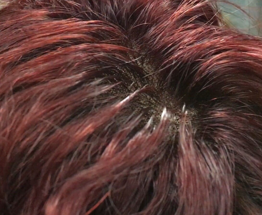 Peluca de cabello rizado natural ADELAIDE color 5.66 tinte RAYA DE TUL