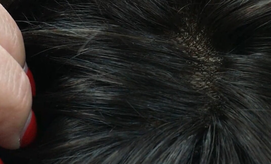 Peluca natural CANDELARIA color 4R4h27h4 RAYA TUL